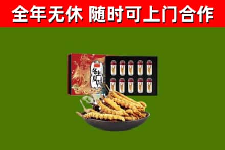 卢龙回收冬虫夏草价格