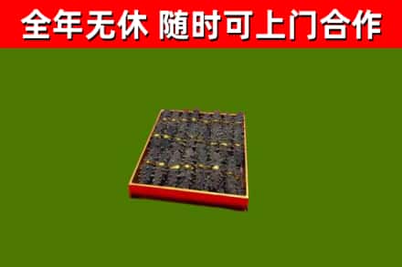 卢龙回收海参